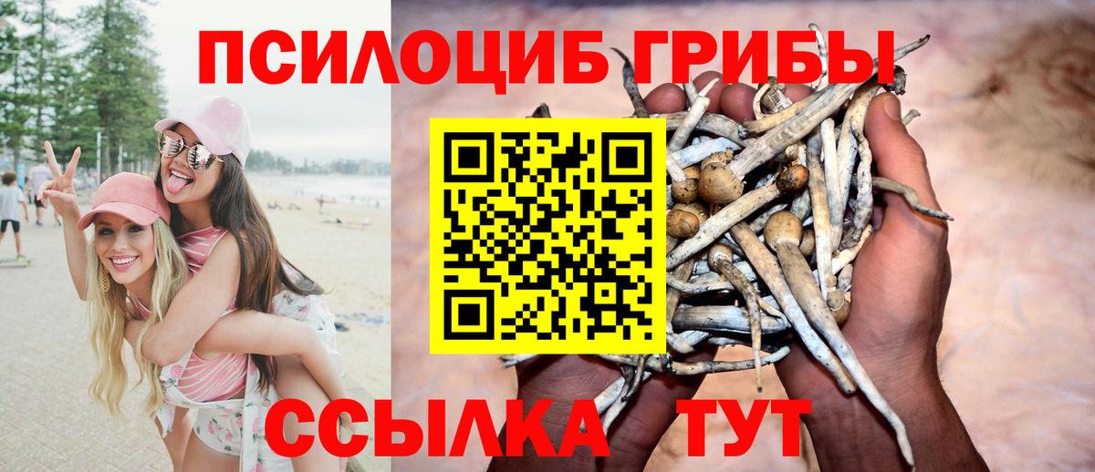 Богородицк  где можно купить наркотик  Галлюциногенные грибы ЛСД  Вход с VPN  Галлюциногенные грибы GOLDEN TEACHER 