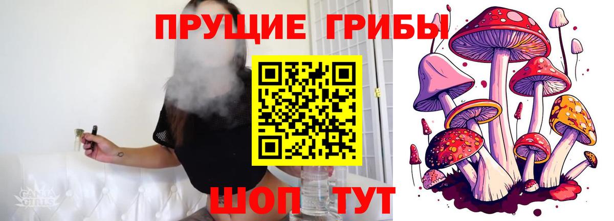 Псилоцибиновые грибы MAGIC MUSHROOMS Богородицк